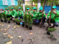 Субботник