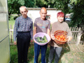 Сбор урожая